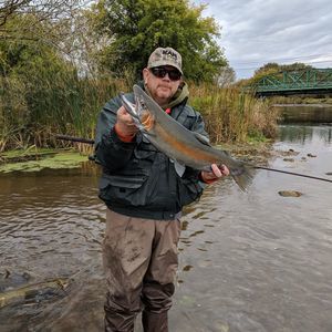 Meet your Posher, Tom